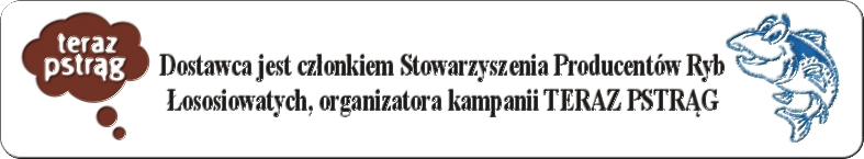 Grafika #0: Wykorzystanie identyfikacji w materiałach promocyjnych....